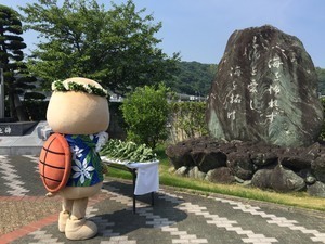 S__139894805.jpg
